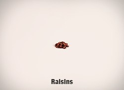 5594-Raisins-cropped-full-res copy